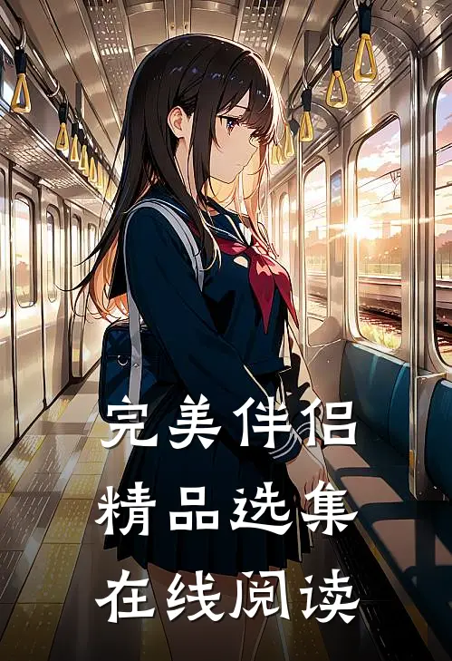 完美伴侣精品选集在线阅读
