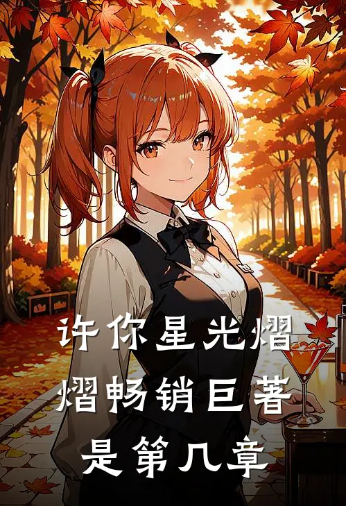 许你星光熠熠畅销巨著是第几章