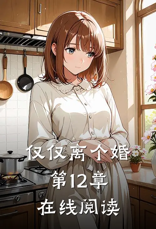 仅仅离个婚第12章在线阅读