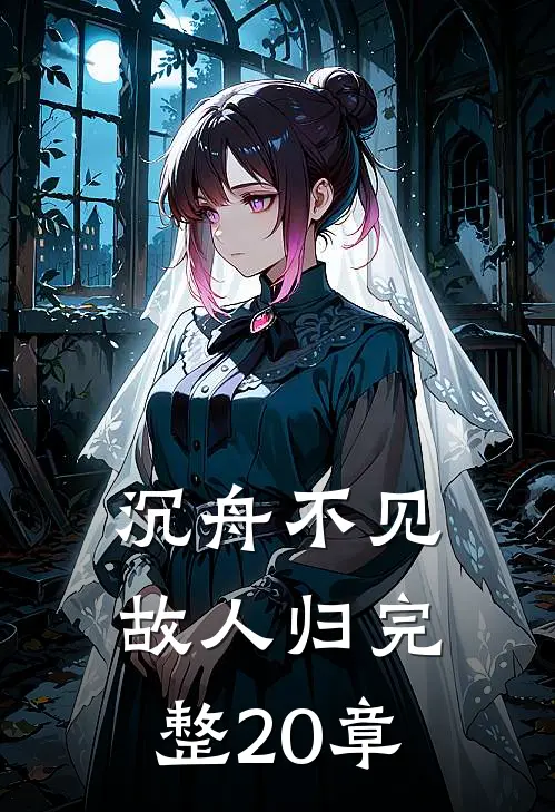 沉舟不见故人归完整20章
