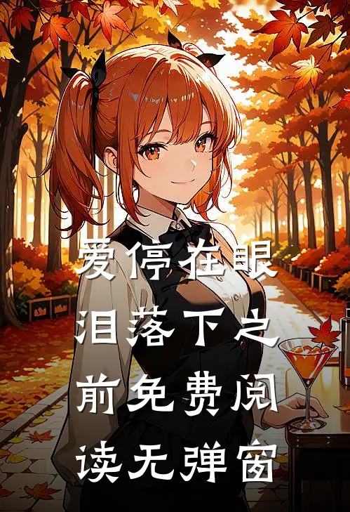 爱停在眼泪落下之前免费阅读无弹窗