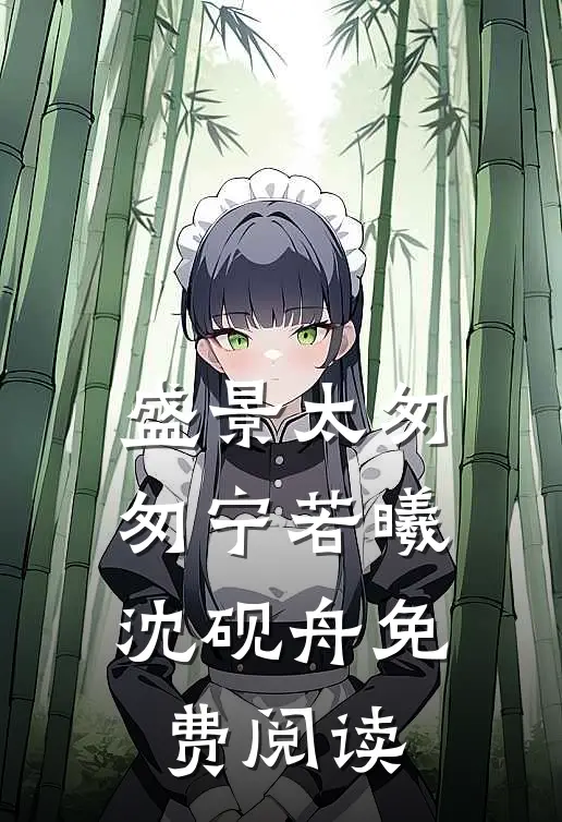 盛景太匆匆宁若曦沈砚舟免费阅读