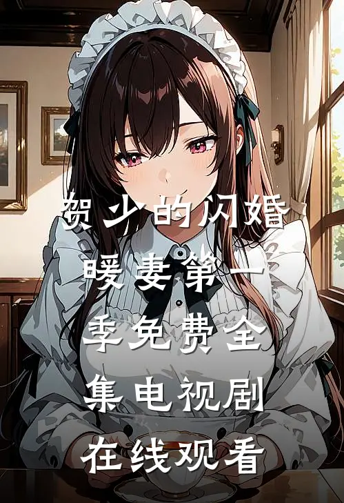 贺少的闪婚暖妻第一季免费全集电视剧在线观看