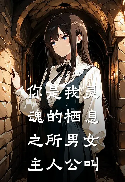 你是我灵魂的栖息之所男女主人公叫
