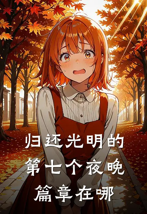 归还光明的第七个夜晚篇章在哪