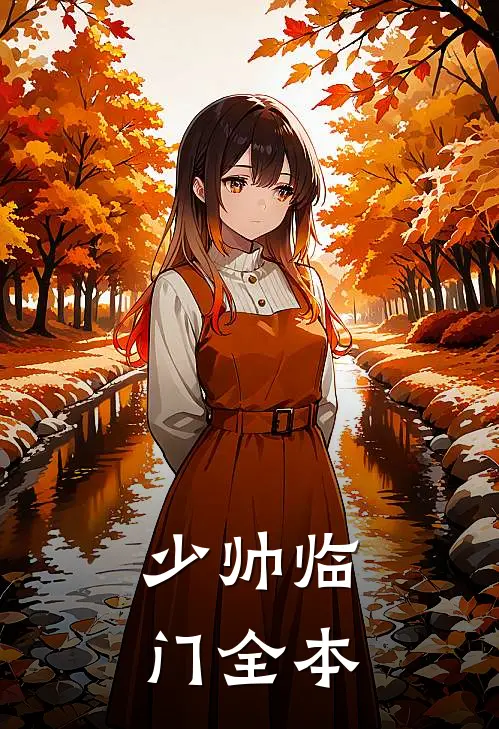 少帅临门全本