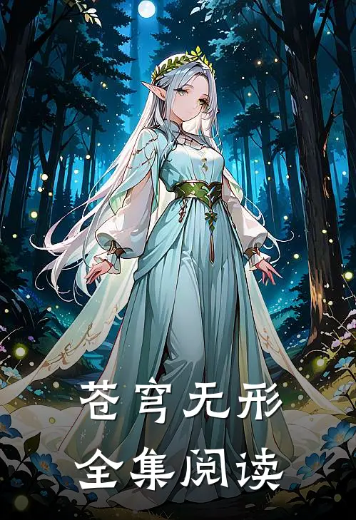 苍穹无形全集阅读