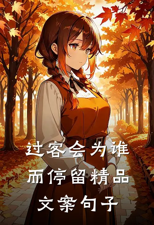 过客会为谁而停留精品文案句子