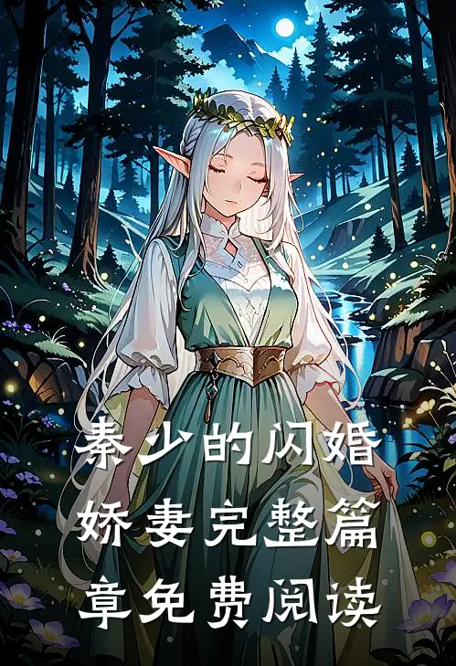 秦少的闪婚娇妻完整篇章免费阅读