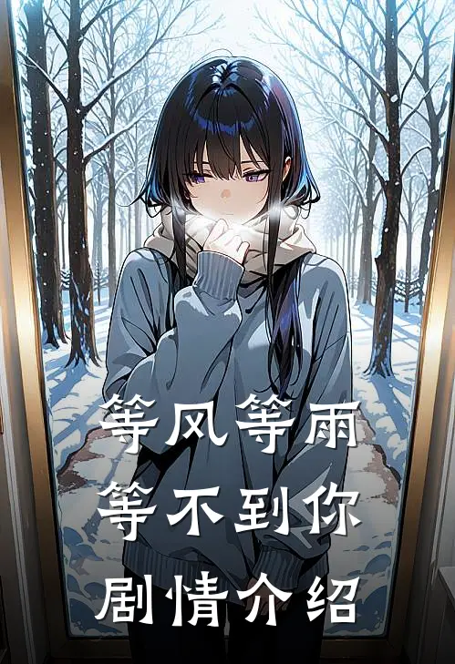 等风等雨等不到你剧情介绍