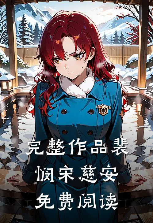 完整作品裴悯宋慈安免费阅读