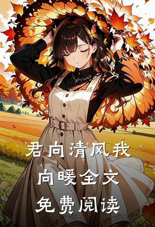 君向清风我向暖全文免费阅读