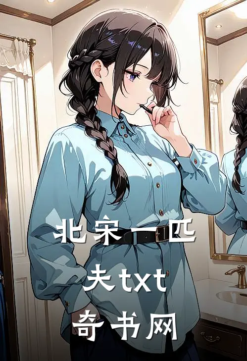 北宋一匹夫txt奇书网