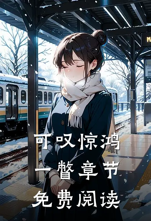 可叹惊鸿一瞥章节免费阅读