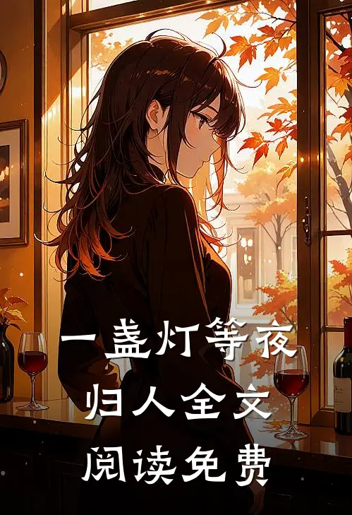 一盏灯等夜归人全文阅读免费