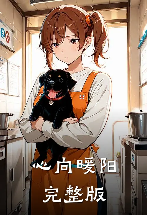 心向暖阳完整版