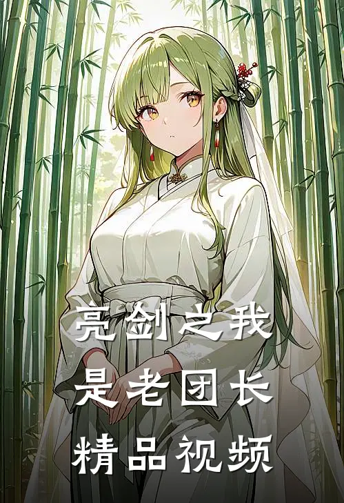 亮剑之我是老团长精品视频
