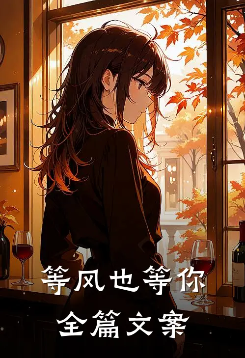 等风也等你全篇文案