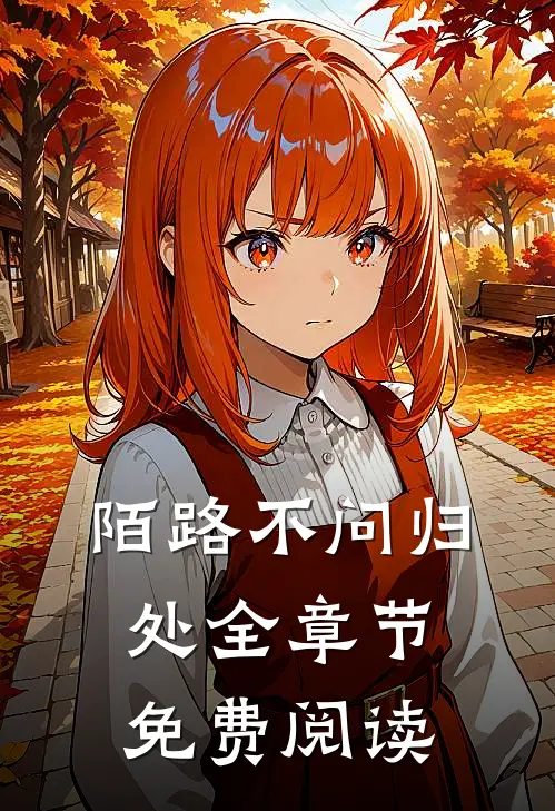 陌路不问归处全章节免费阅读