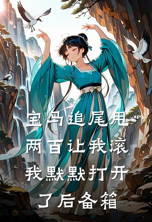 宝马追尾甩两百让我滚，我默默打开了后备箱