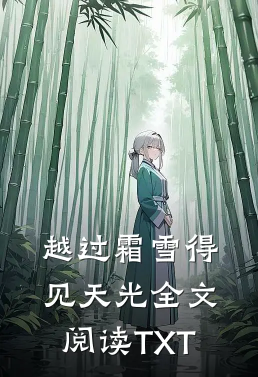 越过霜雪得见天光全文阅读TXT