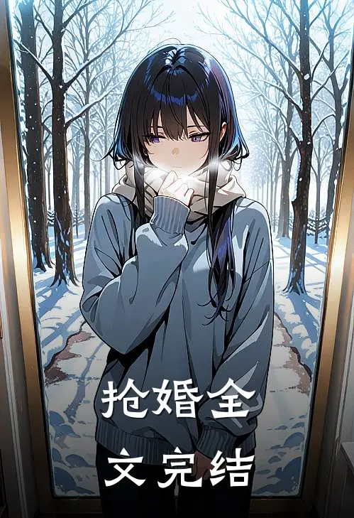 抢婚全文完结