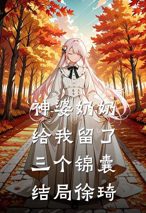 神婆奶奶给我留了三个锦囊结局徐琦