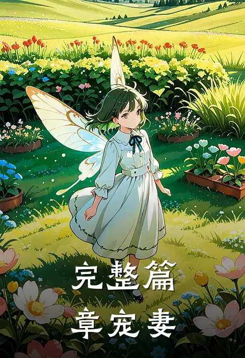 完整篇章宠妻