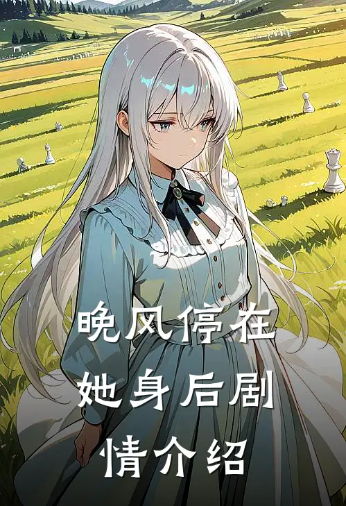 晚风停在她身后剧情介绍
