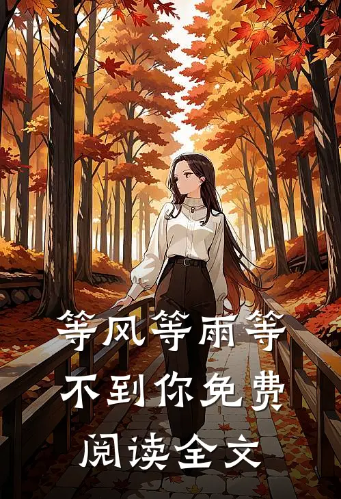 等风等雨等不到你免费阅读全文