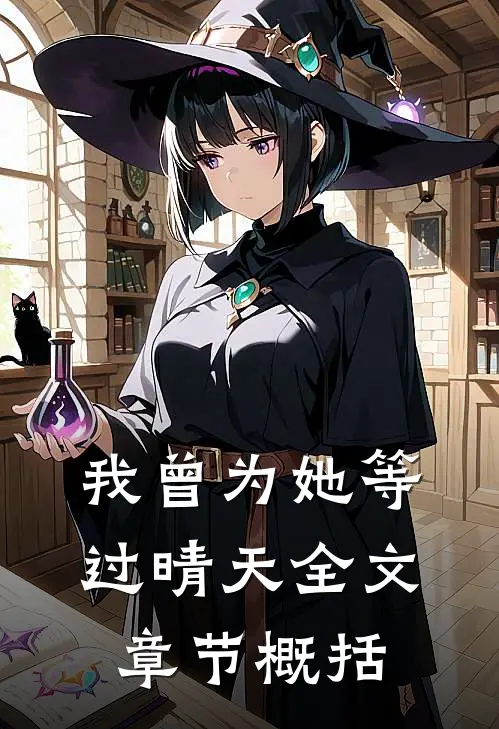 我曾为她等过晴天全文章节概括