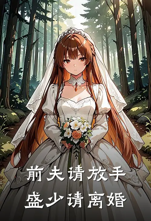 前夫请放手盛少请离婚