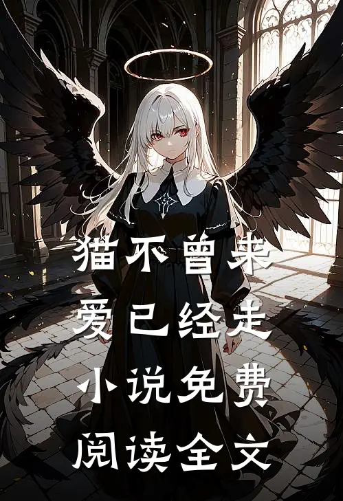 猫不曾来，爱已经走小说免费阅读全文