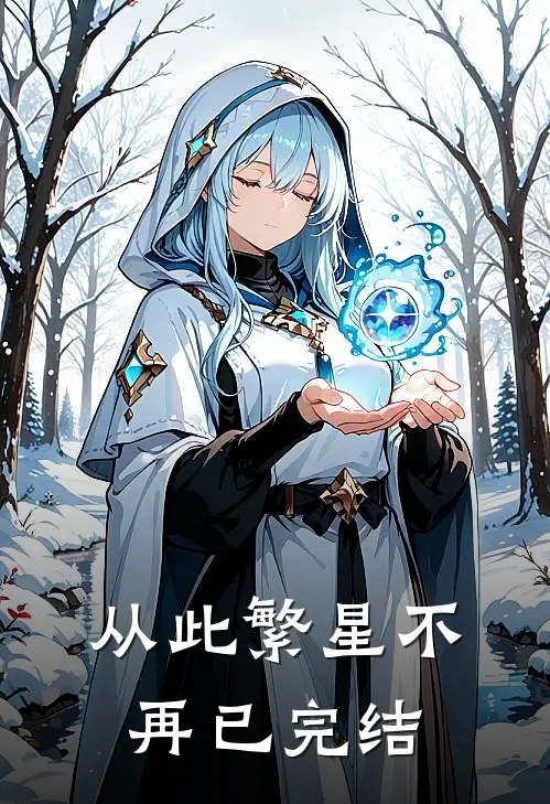 从此繁星不再已完结
