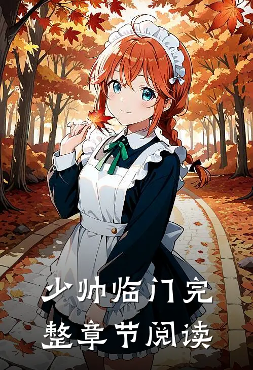 少帅临门完整章节阅读