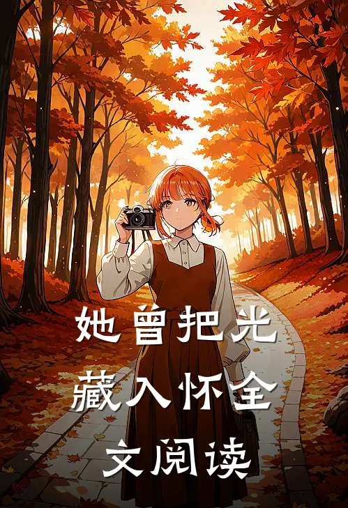 她曾把光藏入怀全文阅读