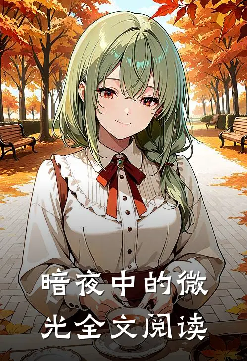 暗夜中的微光全文阅读