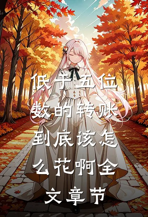 低于五位数的转账，到底该怎么花啊全文章节