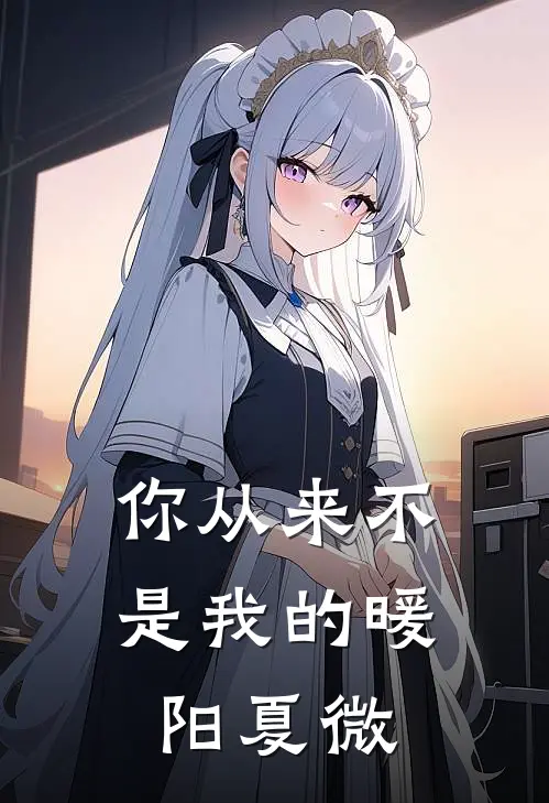 你从来不是我的暖阳夏微
