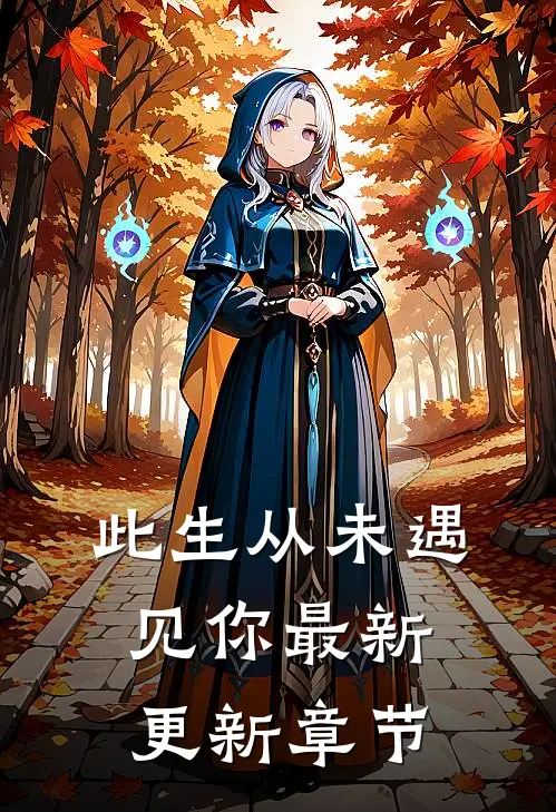此生从未遇见你最新更新章节
