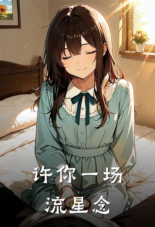 许你一场流星念