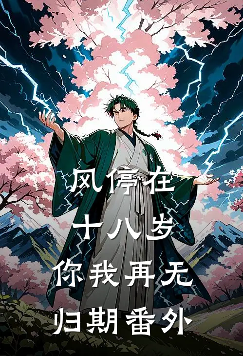 风停在十八岁，你我再无归期番外