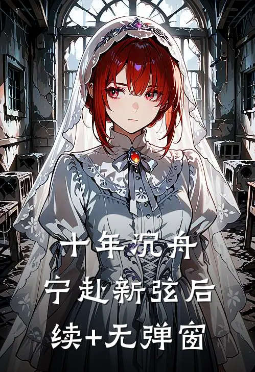 十年沉舟，宁赴新弦后续+无弹窗
