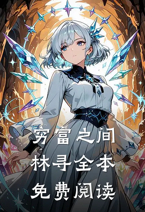 穷富之间林寻全本免费阅读