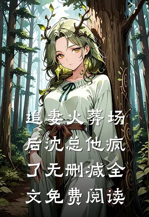 追妻火葬场后 沈总他疯了无删减全文免费阅读