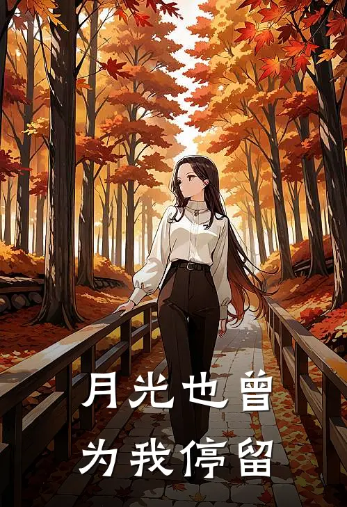 月光也曾为我停留
