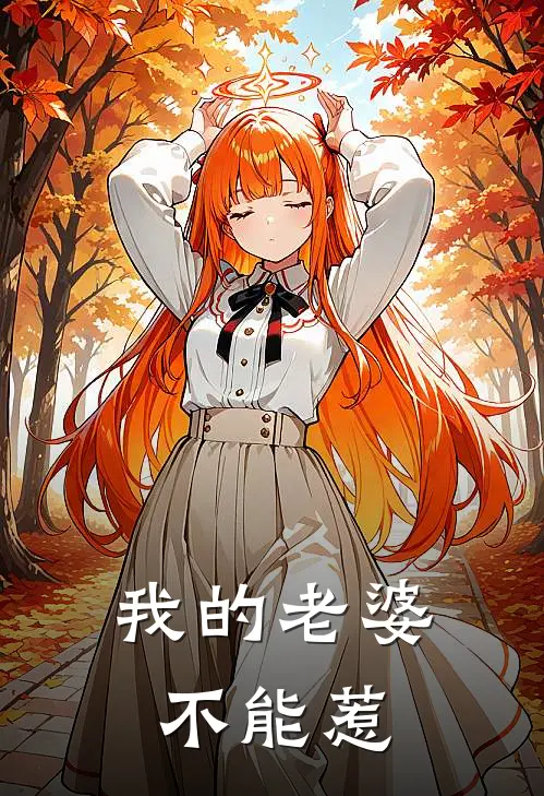 我的老婆不能惹