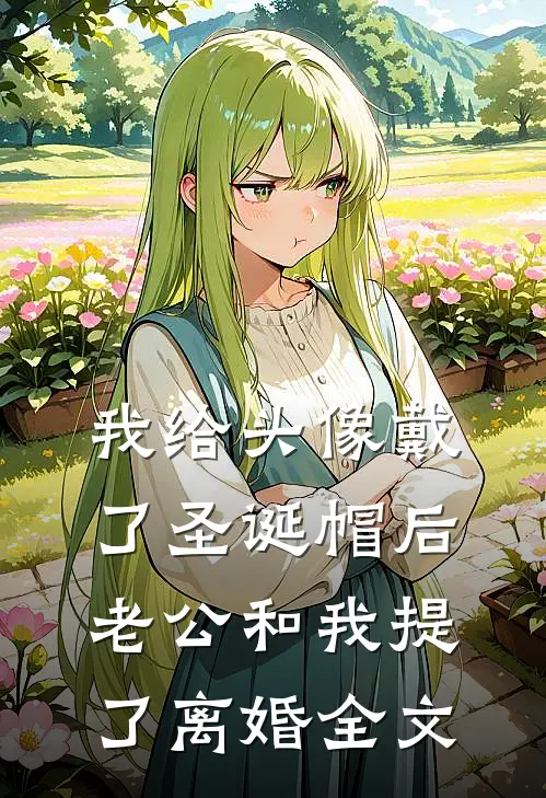 我给头像戴了圣诞帽后，老公和我提了离婚全文