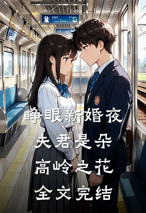 睁眼新婚夜，夫君是朵高岭之花全文完结