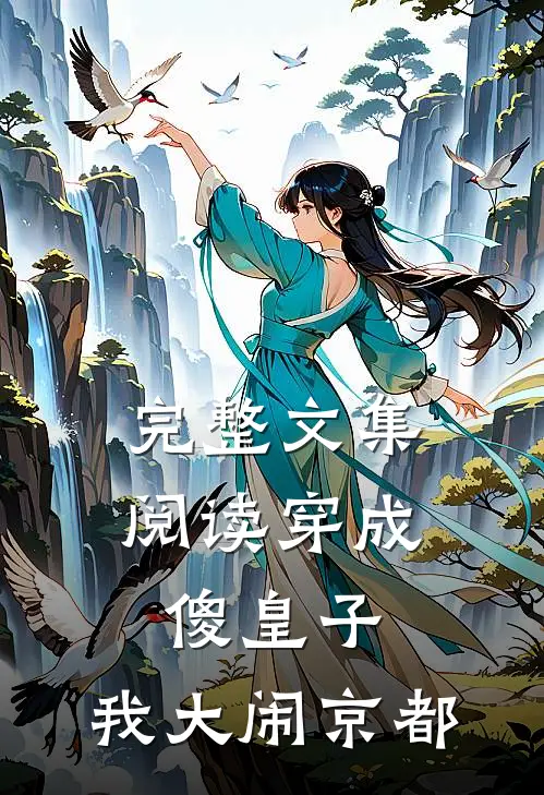 完整文集阅读穿成傻皇子，我大闹京都